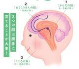 「“脳には良い脂が必要” 料理家・管理栄養士の小山浩子に聞く『育脳ごはん』とは」の画像3