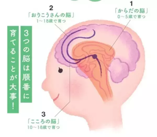 「“脳には良い脂が必要” 料理家・管理栄養士の小山浩子に聞く『育脳ごはん』とは」の画像