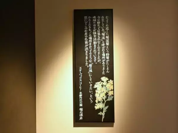 「スターバックス初・名勝の公園へ出店。「京都円山公園 菊の渓店」の特別感」の画像