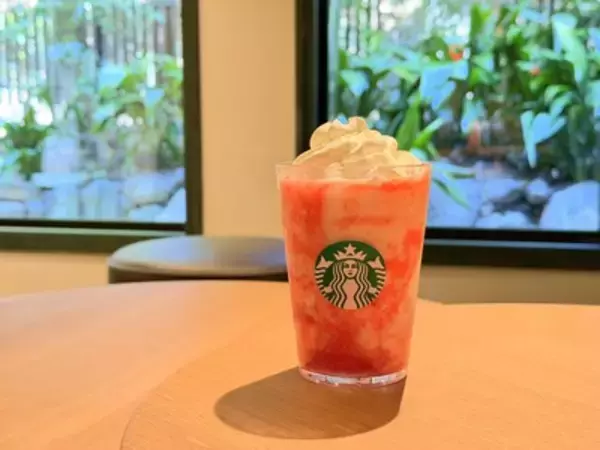 「スターバックス初・名勝の公園へ出店。「京都円山公園 菊の渓店」の特別感」の画像