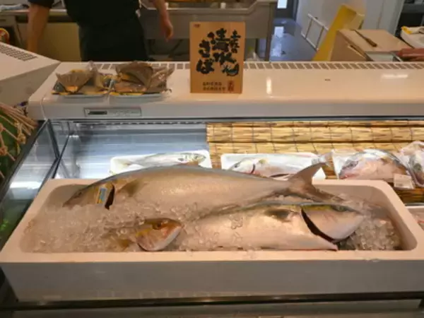 「【高知】「宗田節」とソフトクリームが異色コラボ、道の駅限定その味いかに」の画像