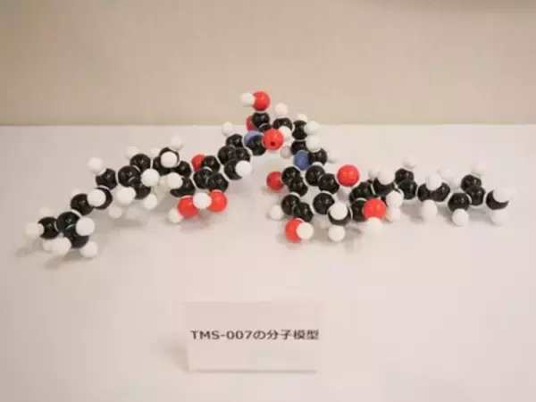 「脳梗塞治療薬の新たな可能性！創薬ベンチャーがつくる新薬とは？」の画像