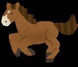 「【2025年ジャパンC】史上2例目！G1レースで騎手がいない空馬が先頭でゴール」の画像1