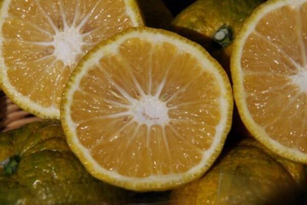 えひめ最新レポ 花粉症に効果アリ じゃばら 居酒屋の八剣伝でも 17年1月16日 エキサイトニュース