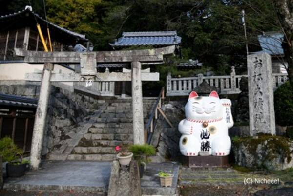 徳島 最新レポ 狛猫も絵馬も 境内に猫 猫 猫だらけの神社 17年12月3日 エキサイトニュース