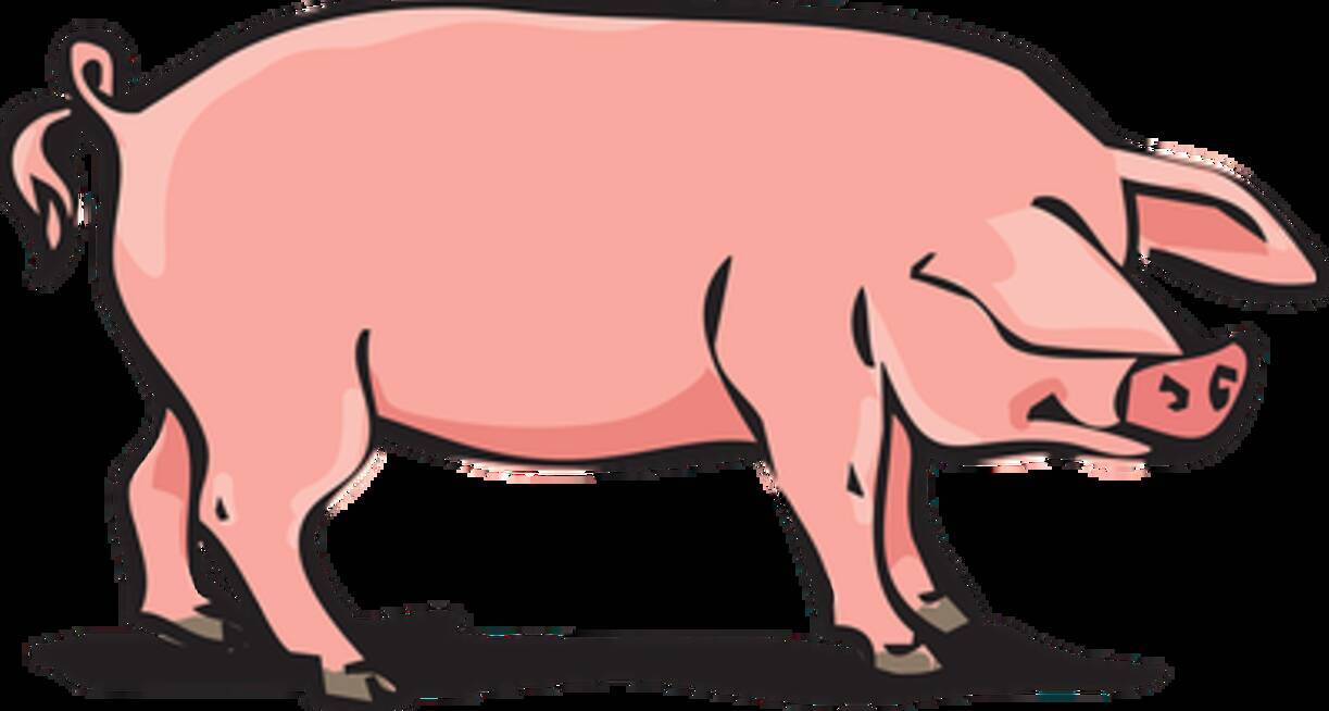 豚肉を世界で一番食べている国はどこ 1位は意外にもあの国だった 18年2月16日 エキサイトニュース