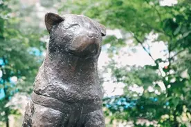 犬のクッキーをお皿の上にのせた結果 何かいいことがあった犬みたいになった ウキウキ感が伝わってきますね 19年4月10日 エキサイトニュース