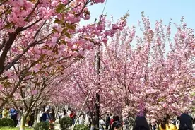 これがタダなんて東京ではありえない 北海道旭川市の子供無料遊び場が最高すぎる 19年4月21日 エキサイトニュース