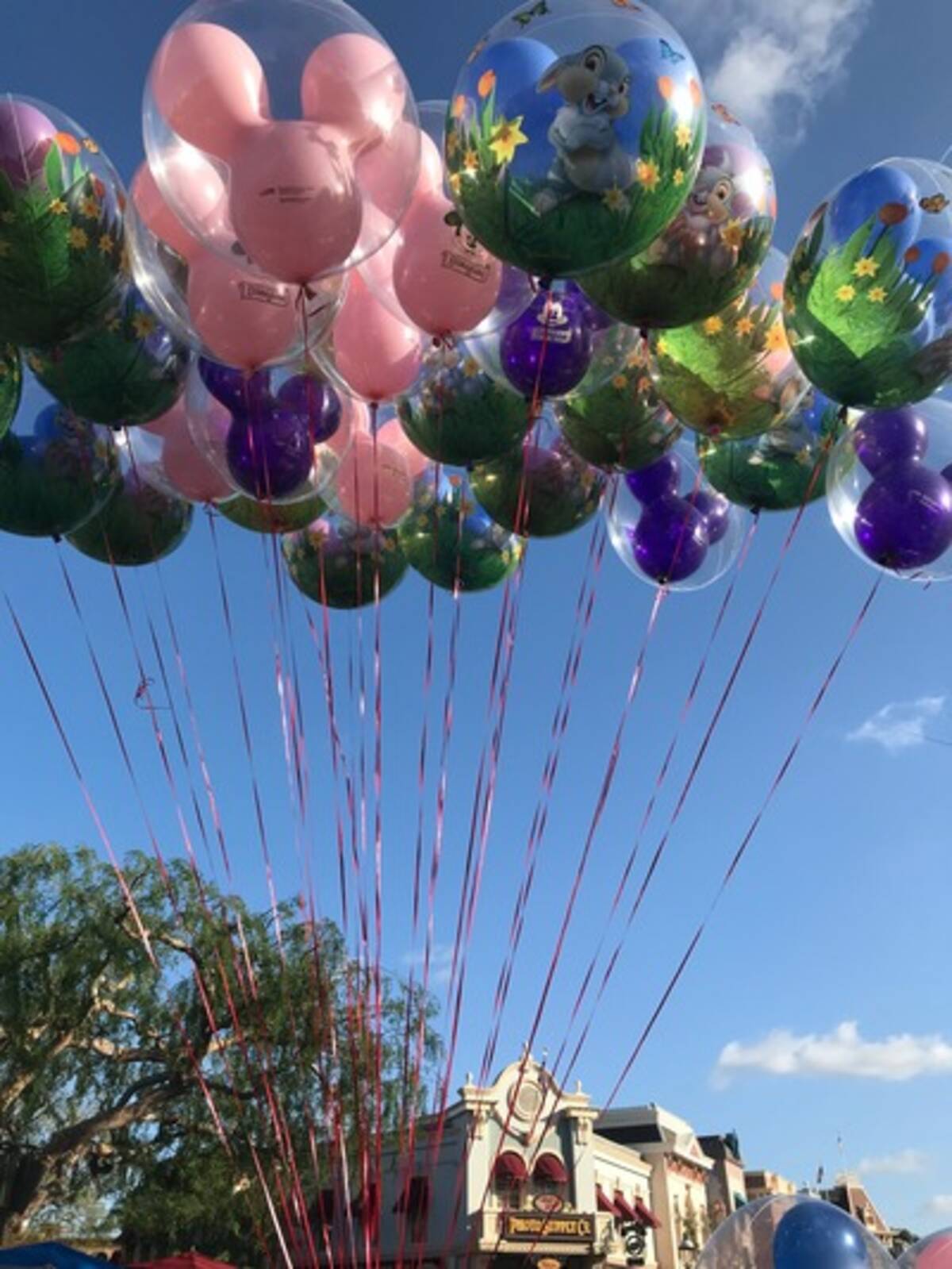 7月17日は何の日 元祖ディズニーランドがオープンした日 7月17日は何の日 元祖ディズニーランドがオープンした日