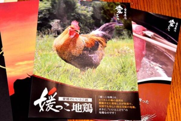 えひめ 最新レポ 全国的にレアで絶品 媛っこ地鶏 って 関西でフェア開催 19年10月1日 エキサイトニュース