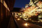 「京都・知恩院 秋のライトアップ2019 浄土系フェスやプチお寺体験、SNSフォトコンも」の画像3