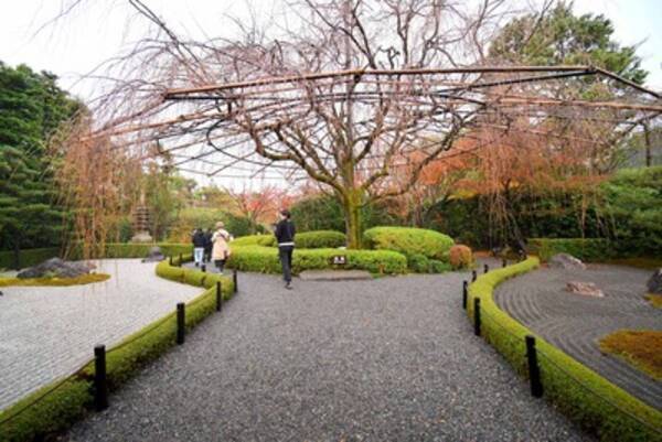 「【京都 石庭めぐり】 宮本武蔵も修行した「妙心寺退蔵院」で“坐禅”体験特別ツアー」の画像