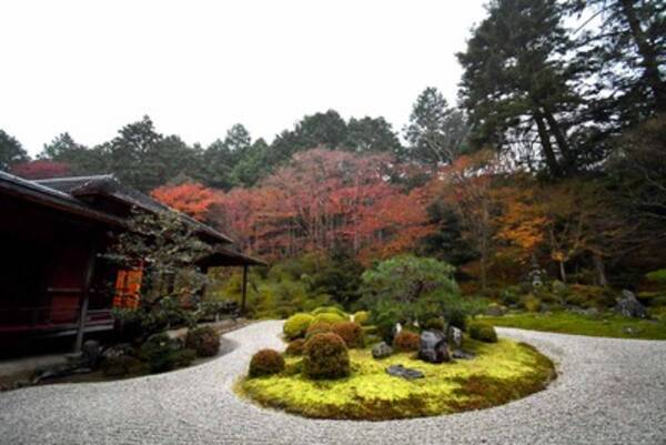 京都 石庭めぐり 洛北の名刹 曼殊院で枯山水庭園 石庭スイーツ づくり 年1月8日 エキサイトニュース