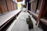 「【京都 石庭めぐり】 大徳寺の塔頭で特別公開！ さまざまな趣の「石庭」を堪能」の画像2