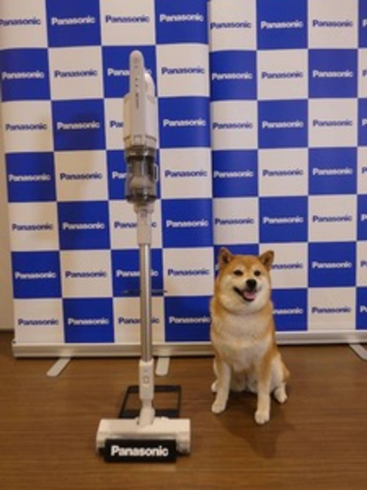 53年目の新発明 パナソニックがブラシに髪の毛が絡みにくい掃除機を発売 年6月30日 エキサイトニュース