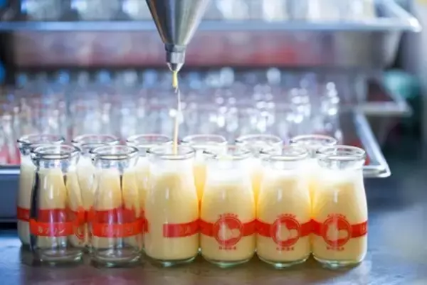 「【NEWオープン】熱海にできたて食べ歩きスイーツが登場！パリッじゅわ食感がたまらない「熱海プリン」が手がける新店舗『熱海プリンファクトリー』」の画像