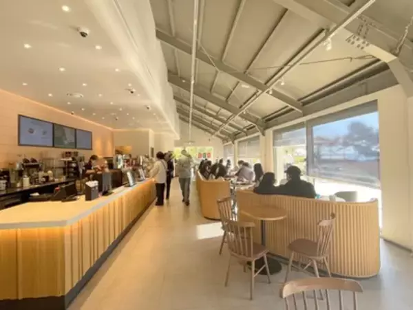 「【韓国】スターバックス巨大「ベアリスタ」に会いに行く！釜山から片道2時間の旅」の画像
