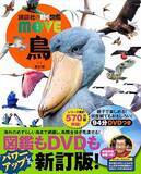 「タイトルに鳥の名前が入っている曲５選」の画像1