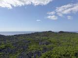 「沖縄・宮古 絶景の「通り池」は“人魚伝説”が残るパワースポット」の画像4