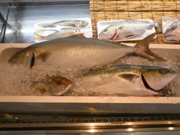 「冬の高知で味わうサバ界のトロ！「清水さば」を食べてみた」の画像