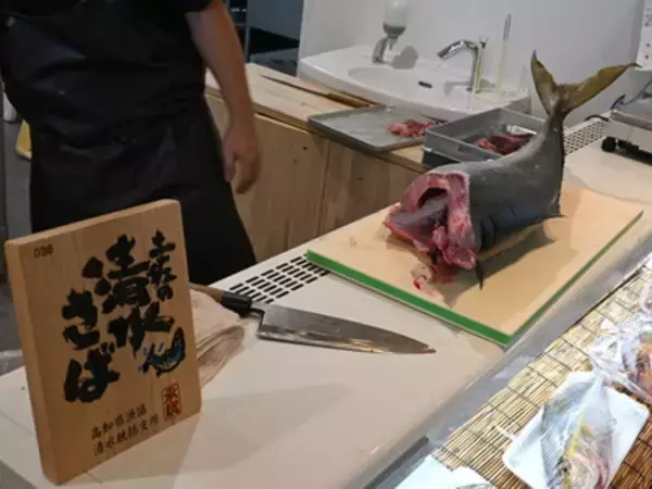 「冬の高知で味わうサバ界のトロ！「清水さば」を食べてみた」の画像