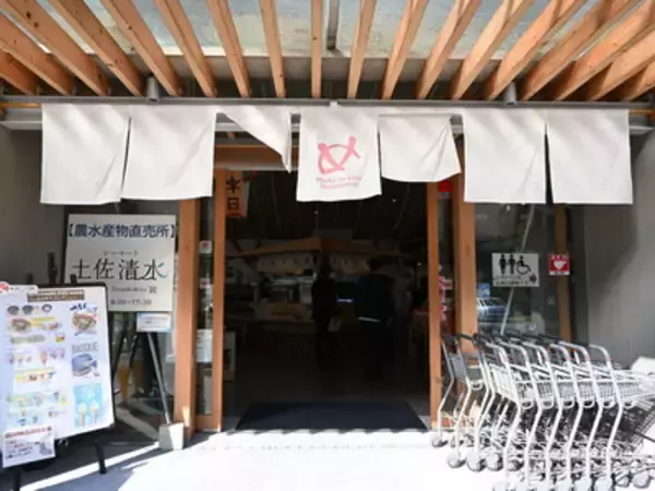 「冬の高知で味わうサバ界のトロ！「清水さば」を食べてみた」の画像