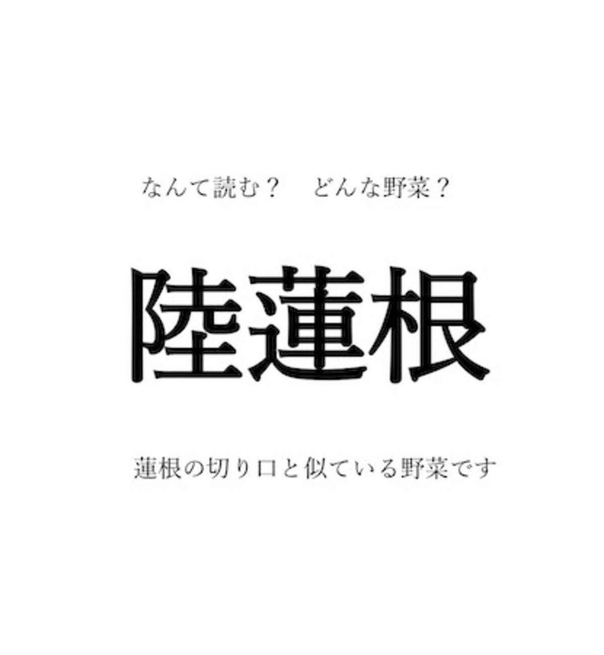 野菜の漢字クイズ 陸蓮根 の読み方は 名前の由来は 旬や生産地 栄養や調理のコツなども紹介 22年4月7日 エキサイトニュース