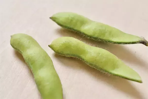 「【青髪のテツ】鮮度落ち枝豆を“採れたてレベル”に甘くする究極ワザ…「○○水で茹でちゃってください！」」の画像