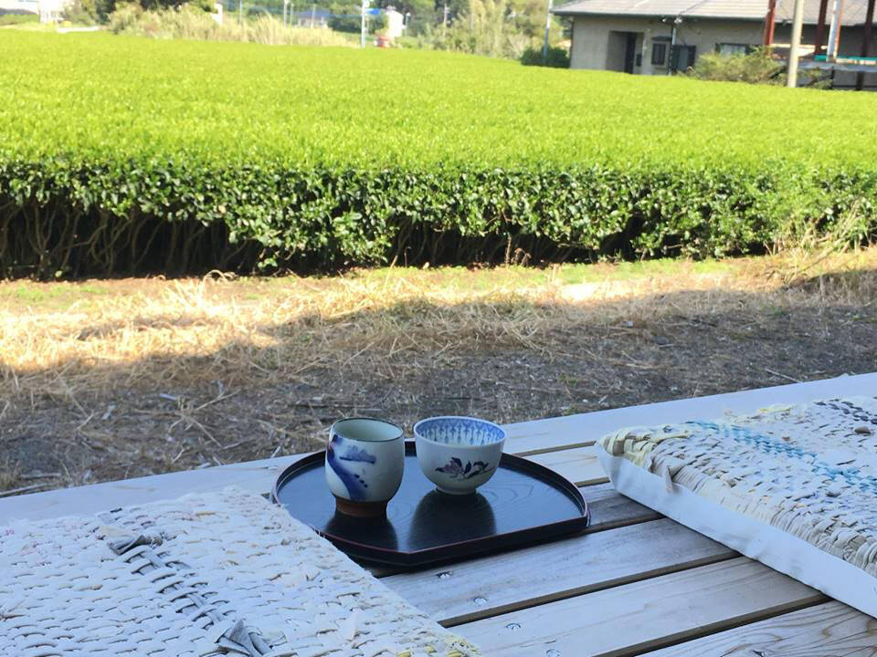 【お茶産地の消臭テク】冷蔵庫や電子レンジの悪臭には…え、賞味期限切れの茶葉が効く!?【捨てないSDGs】