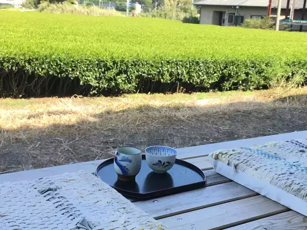 「【お茶産地の消臭テク】冷蔵庫や電子レンジの悪臭には…え、賞味期限切れの茶葉が効く!?【捨てないSDGs】」の画像