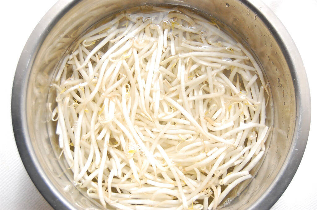 爆速5分でお店レベル⁉必ずシャキシャキになる「簡単もやし炒め中華食堂風」に挑戦！【節約中華めし】