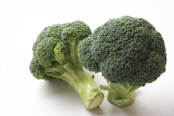 生産者が教える おいしいブロッコリーの選び方と保存法 え 野菜室ダメ 無限レシピも紹介 22年4月29日 エキサイトニュース 生産者が教える おいしいブロッコリーの選び方と保存法 え 野菜室ダメ 無限レシピも紹介 22年4月29日 エキサイトニュース