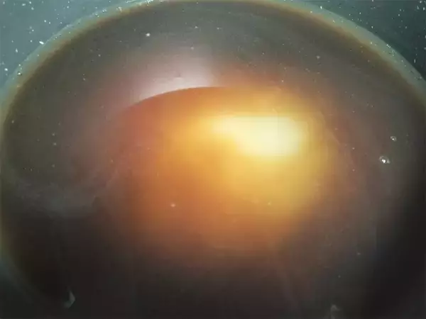 「【絶品！郷土メシ】徳島県の郷土料理「かきまぜ」作ってみた！酢飯のゆずの香り鮮烈♪そこに金時豆の甘みが…」の画像