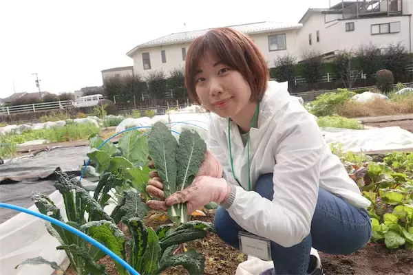 【にちにち農ガール】秋冬野菜の畑レポ！「黒キャベツ」「スイスチャード」「ルッコラ」の…え、もう収穫なの⁉