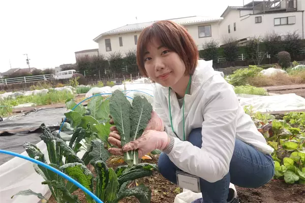 「【にちにち農ガール】秋冬野菜の畑レポ！「黒キャベツ」「スイスチャード」「ルッコラ」の…え、もう収穫なの⁉」の画像