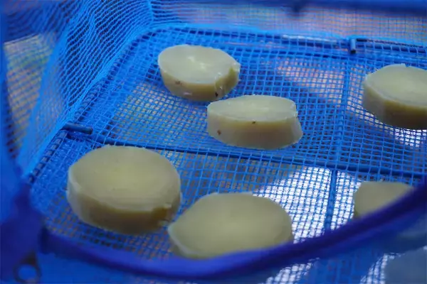 「【農家直伝】庭やベランダで「干し芋」作れるってよ！100均グッズでレベチの甘さにもなるってよ!?」の画像