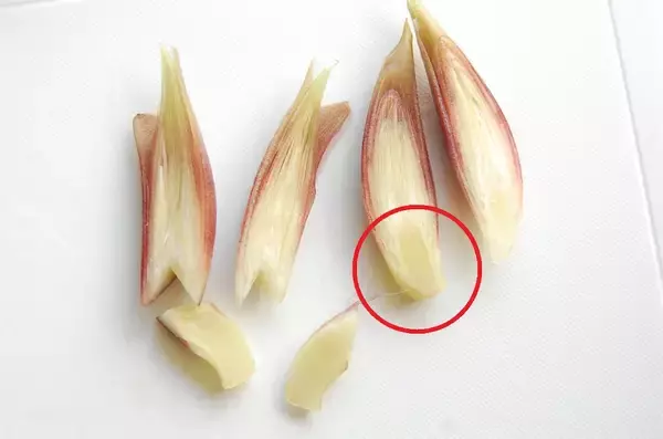 「【シェフ脇屋の凄味】甘酸っぱいスープにみょうがのコンビに昇天！「ささみとみょうがの涼麺」に挑戦♪」の画像