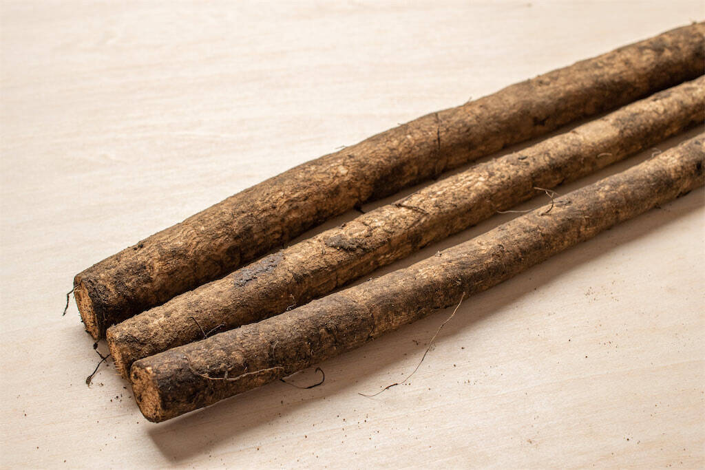 【青髪のテツ】「ごぼうの皮を剥くなんてもったいな！旨味は皮よ♡」あるモノでソフト洗いが正解!?