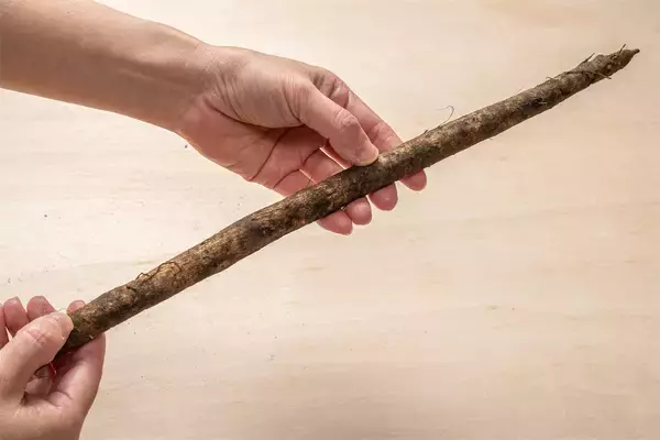 「【青髪のテツ】「ごぼうの皮を剥くなんてもったいな！旨味は皮よ♡」あるモノでソフト洗いが正解!?」の画像