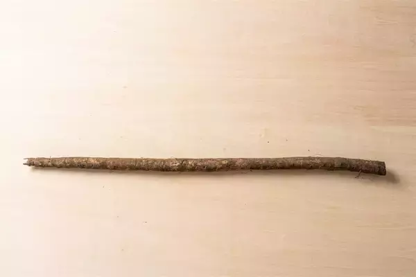 「【青髪のテツ】「ごぼうの皮を剥くなんてもったいな！旨味は皮よ♡」あるモノでソフト洗いが正解!?」の画像