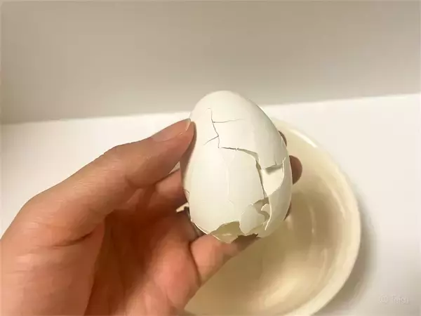 「【料理の裏ワザ】鬼嫁・北斗晶さんの“ゆで卵をキレイに剥く方法”試してみた！「え、ティースプーンで⁉」」の画像
