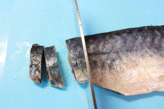 【安全に手作りできる！】刺身用のサバで「しめサバ」作ってみた！なめらかで芳醇な味わい♡【料理家直伝】