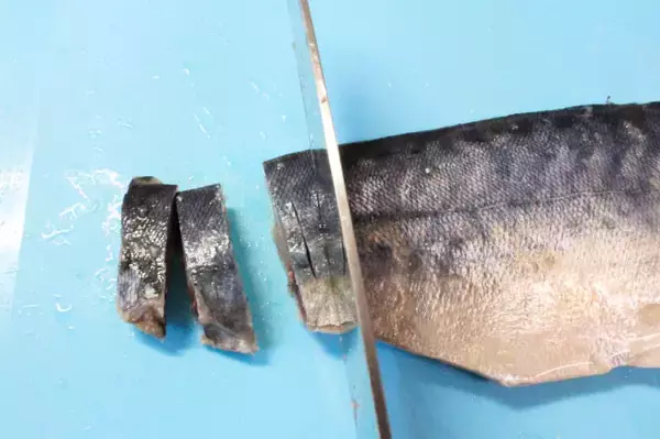 「【安全に手作りできる！】刺身用のサバで「しめサバ」作ってみた！なめらかで芳醇な味わい♡【料理家直伝】」の画像