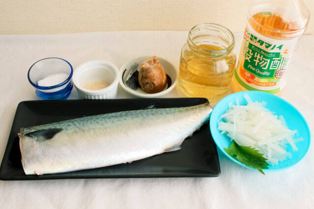 【安全に手作りできる！】刺身用のサバで「しめサバ」作ってみた！なめらかで芳醇な味わい♡【料理家直伝】