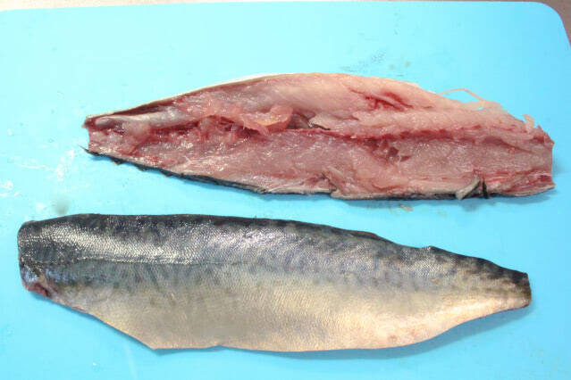 【安全に手作りできる！】刺身用のサバで「しめサバ」作ってみた！なめらかで芳醇な味わい♡【料理家直伝】