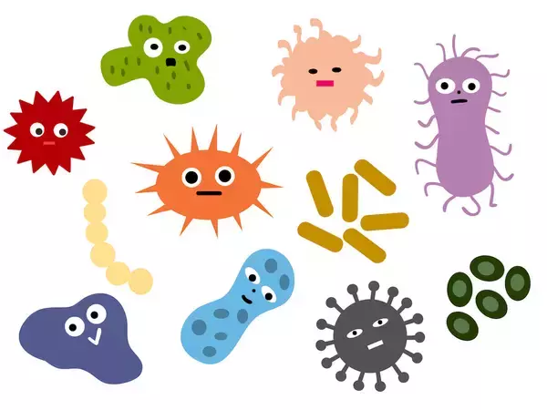 「【食中毒対策】飲みかけペットボトル…細菌が最も増える中身は「麦茶」「スポーツ飲料」「100％果汁」どれ？」の画像