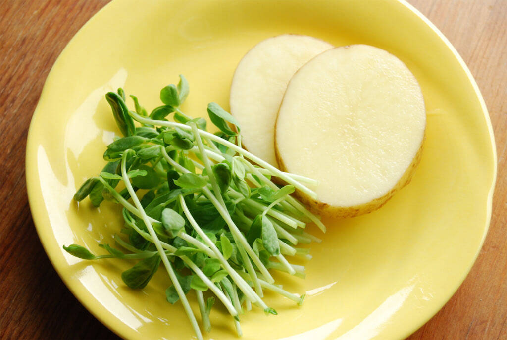 【新じゃがを皮ごと入れる一杯】だし不要の「新じゃがと豆苗のみそ汁」作ってみた！からし後のせで料亭級の品格