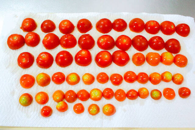 【ドライトマトの作り方】天日干し不要！簡単に「ドライトマト」っぽいのが作れる!?オイル漬けにしたら沼った件