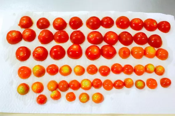 「【ドライトマトの作り方】天日干し不要！簡単に「ドライトマト」っぽいのが作れる!?オイル漬けにしたら沼った件」の画像