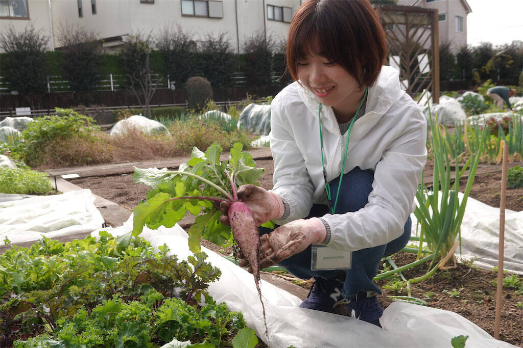 【にちにち農ガール】こんなに早く⁉秋冬野菜の葉大根とミニ大根の収穫です♡【秋冬野菜の畑レポ】